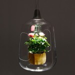 lightovo-5