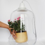 lightovo-6