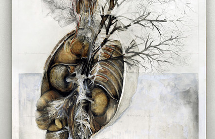 Nature And Anatomy Paintings