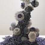 peled-4