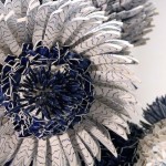 peled-8