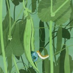 shoutillustrations-6