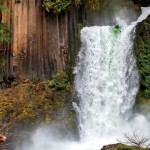15-Buckle Up on Oregons North Umpqua River by Charlie Munsey 15-Buckle Up on Oregons North Umpqua River by Charlie Munsey
