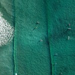 2-Looking Down on Tofino by Jeremy Koreski 2-Looking Down on Tofino by Jeremy Koreski