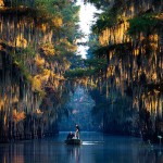 4-Getting Lost on Caddo Lake Texas by Michael Hanson 4-Getting Lost on Caddo Lake Texas by Michael Hanson