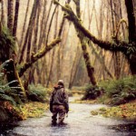 9-Drenched in Forks Washington by Andy Anderson 9-Drenched in Forks Washington by Andy Anderson