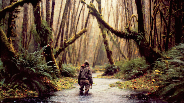 9-Drenched in Forks Washington by Andy Anderson