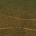 A Birds-Eye View of Pain at Leadville by Pete Mc Bride A Birds-Eye View of Pain at Leadville by Pete Mc Bride