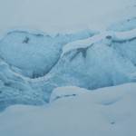 Adidas - Open All Winter-5