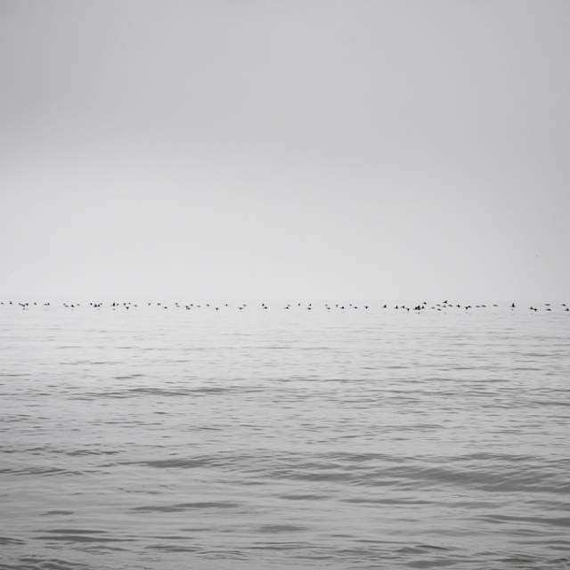 Baltic Sea Photography-12