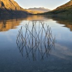 Circular Installations in Nature-11