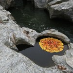 Circular Installations in Nature-5