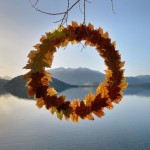 Circular Installations in Nature-8