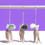 Conceptual Food Stills-1