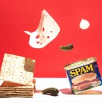 Conceptual Food Stills-12