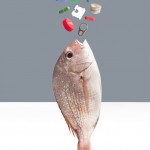Conceptual Food Stills-2
