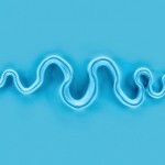 Conceptual Latex Series-11