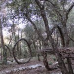 Fantastic Forest by Spencer Byles_1