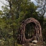 Fantastic Forest by Spencer Byles_2