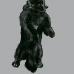 Funny Jumping Dogs Series-4
