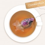 Goldfish Tea Bag -3