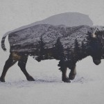 Landscapes Double Exposure Series-4