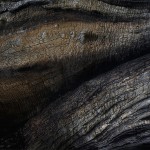 Photography by Daniel Freytag-10