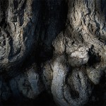 Photography by Daniel Freytag-11