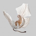 Photography by Daniel Freytag-4