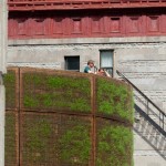 Plants Living in House Pavilion_1