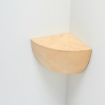 Plywood Shelf Stuck in The Corner-7