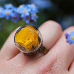 Poetic Jewels Containing Real Flowers-11