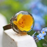 Poetic Jewels Containing Real Flowers-12