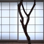 Renovation Building by Nano Architects_5