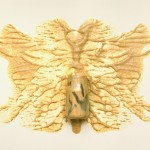 Rorschach Test With Food-3