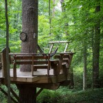 Secluded Intown Treehouse_5