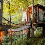 Secluded Intown Treehouse_8
