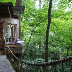 Secluded Intown Treehouse_9