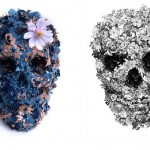 Skulls Artwork by Jacky Tsai-0