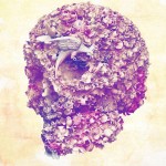 Skulls Artwork by Jacky Tsai-1