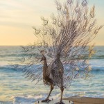 Steel Animal Sculptures on The Beach-5