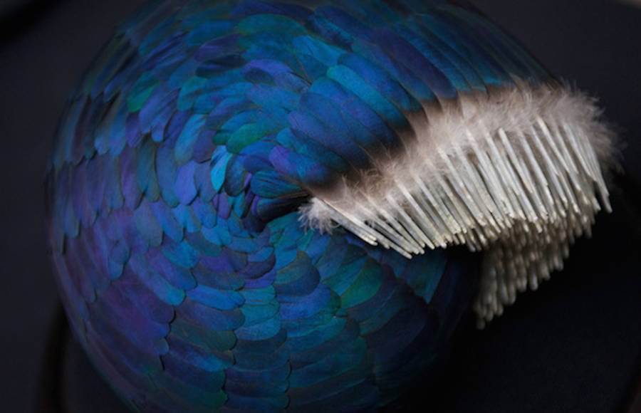 Organic Feathers Sculptures