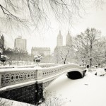 The Lights of New York Photography-1
