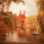 New York Autumn - Central Park Fall Colors at The Lake