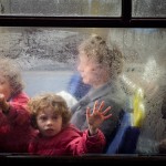 Through a Glass Photographies_13