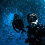 Tornado of Fish Photography-6