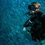 Tornado of Fish Photography-8