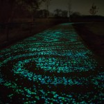 Van Gogh Bike Path-3