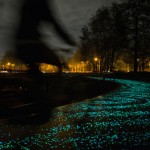 Van Gogh Bike Path-5