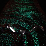 Van Gogh Bike Path-7